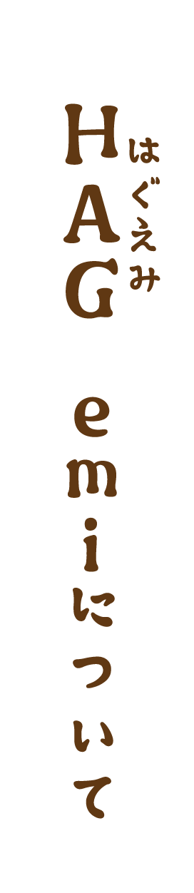 HAG emiについて